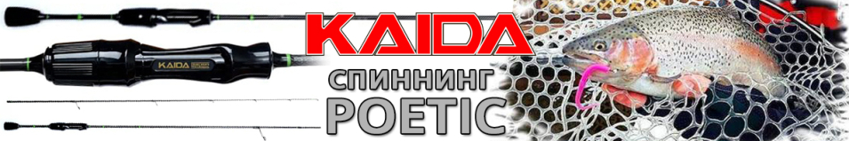 Kaida Poetic