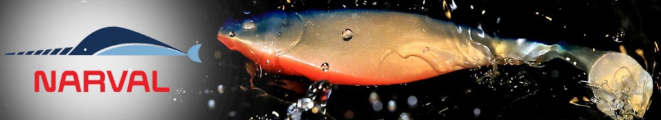 Narval Commander Shad 14cm