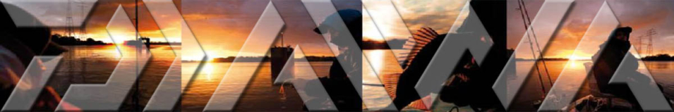 Daiwa Leading-X F Short 