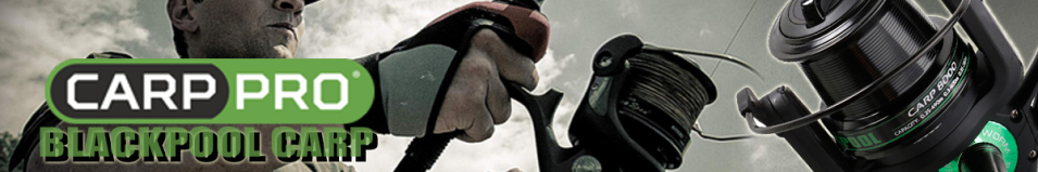 Carp Pro Blackpool Carp