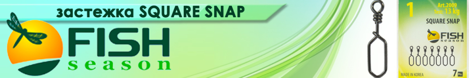 Fish Season Square Snap