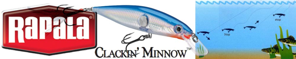 Rapala Clackin Minnow