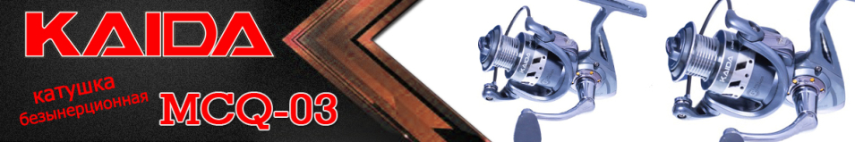 Kaida MCQ-03