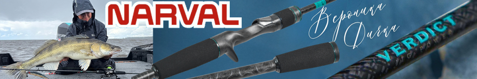 Narval Fishing Signature Verdict