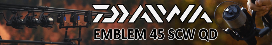 Daiwa 19 Emblem 45 SCW QD