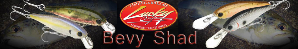 Lucky Craft Bevy Shad