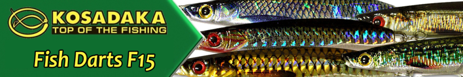 Kosadaka Fish Darts F15 70mm 20g