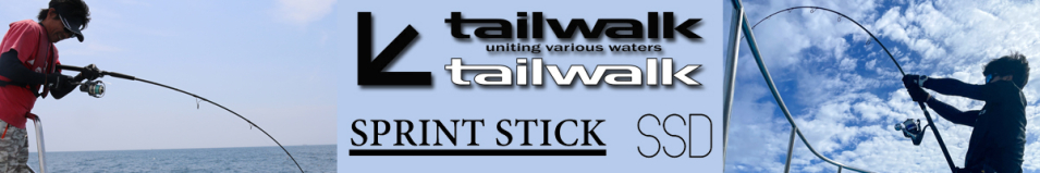 Tailwalk Sprint Stick SSD