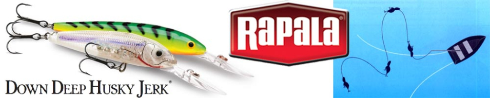 Rapala Down Deep Husky Jerk