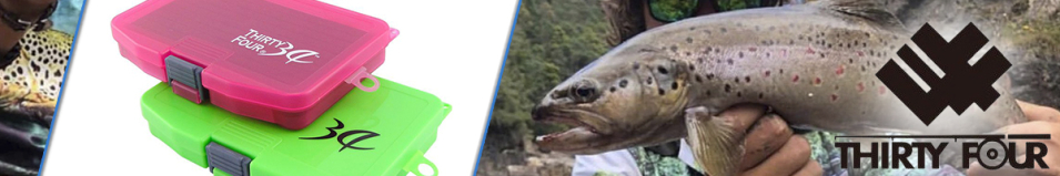 34 Jig Head Case Clear Green