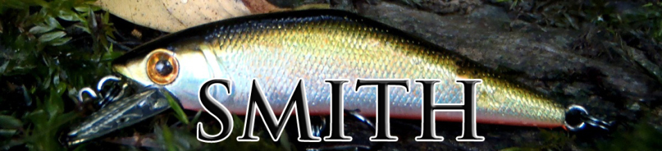 Smith D-Direct 55мм 6,0гр.