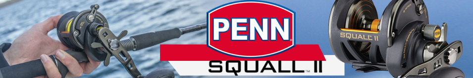 Penn SQUALL II