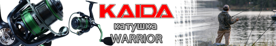 Kaida Warrior