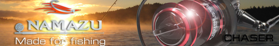 Namazu Chaser