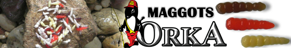 Orka Maggots