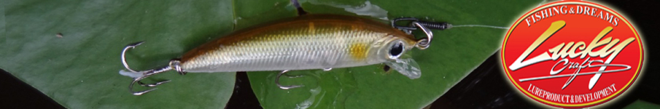 Lucky Craft Humpback Minnow 50SP