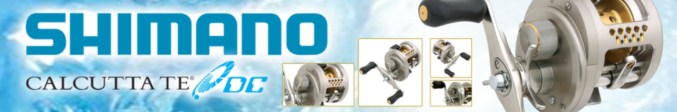 Shimano Calcutta TE DC