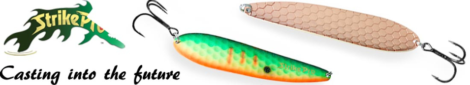 Strike Pro Killer Profy 80 80гр.