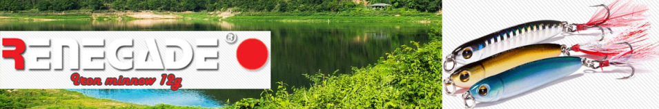 Renegade Iron Minnow 12g 