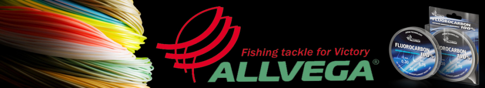 Allvega FX Fluorocarbon 100% Clear 30m