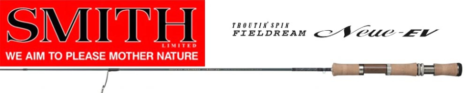 SMITH Fieldream Neue-EV 