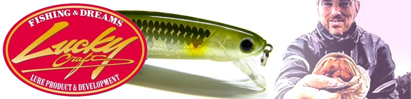 Lucky Craft Flash Minnow 110SP 