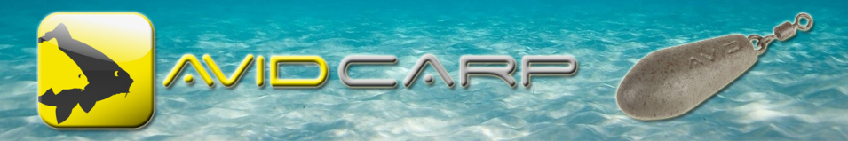 Avid Carp Distance Swivel Lead