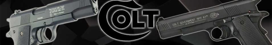 Colt Government 1911 A1