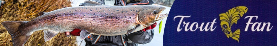Trout Fan Logo Cap Navy/Red