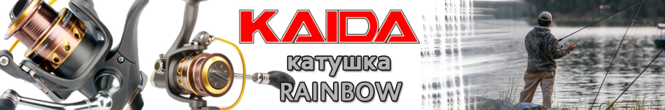 Kaida R003 Rainbow