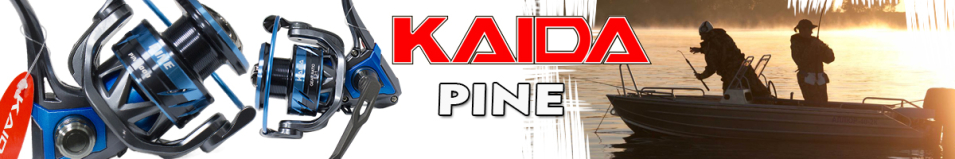 Kaida PINE