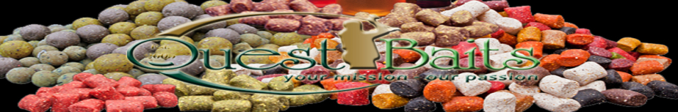 Quest Baits Бойли тонущие 10*15mm 125g 