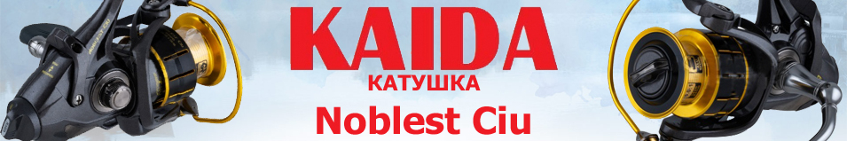 Kaida Noblest Ciu