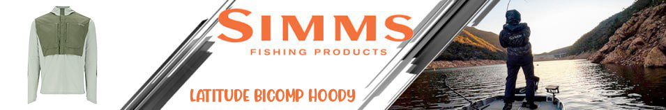 Simms Latitude BiComp Hoody, Aspen/Willow