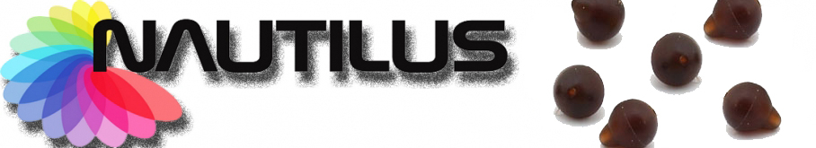 Nautilus Tear Drop Helicopter Soft Beads