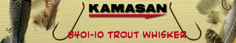 Kamasan B401 Trout Whisker