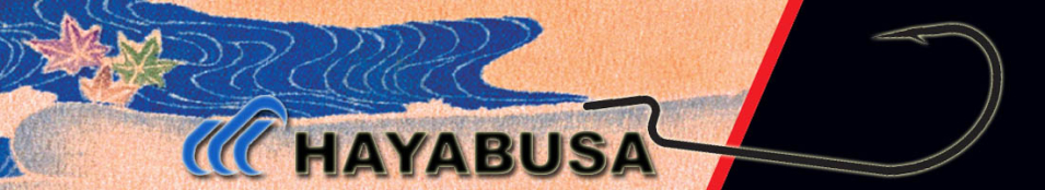 Hayabusa WRM262 