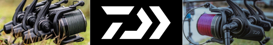 Daiwa 23 Emblem 45 SCW QD