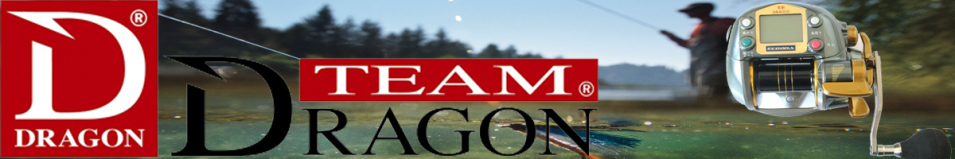 Dragon Ecooda Electric Power