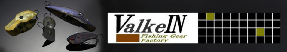 ValkeIN