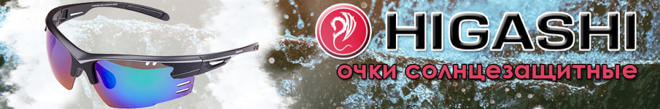 Higashi Glasses H1707pro