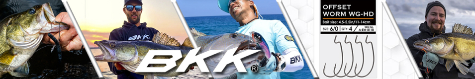 BKK Armorpoint Offset Worm WG Multi-Pack Set