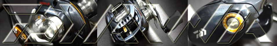 Daiwa ZIllion TW 