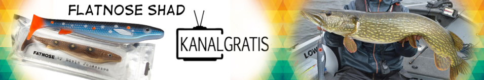 KanalGratis Fatnose Shad 230мм 60гр