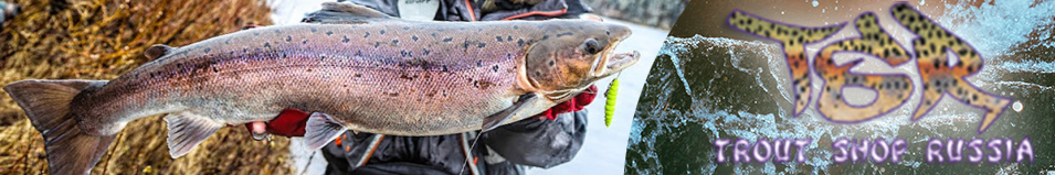 Trout Shop Russia Logo Cap Brown/Yellow