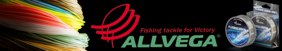 Allvega FX Fluorocarbon 100% Clear 20м
