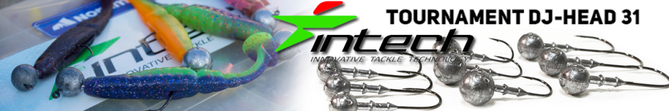 Intech Tournament DJ-Head 31 №6/0