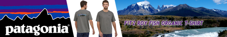 Patagonia M's Fitz Roy Fish Organic T-Shirt NGFT