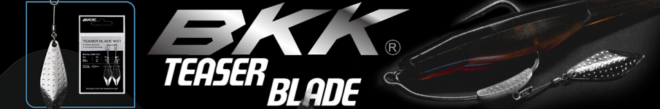 BKK Teaser Blade WS1 Подвеска