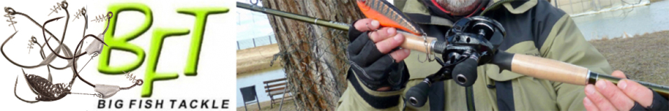 BFT Owner Flashy Swimmer